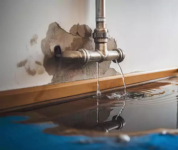 Professional Water Damage Restoration Experts in Richardson, TX — Fast, Reliable & Certified