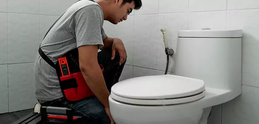 Toilet Repair in Richardson