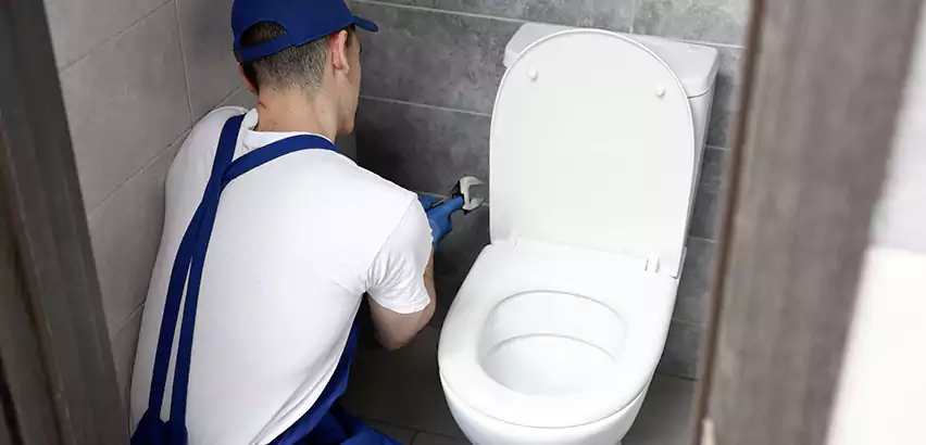 Toilet Lid Replacement in Richardson