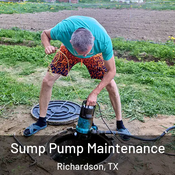 Sump Pump Maintenance Richardson, TX